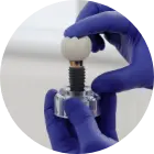 Dental implants representing options for missing teeth.