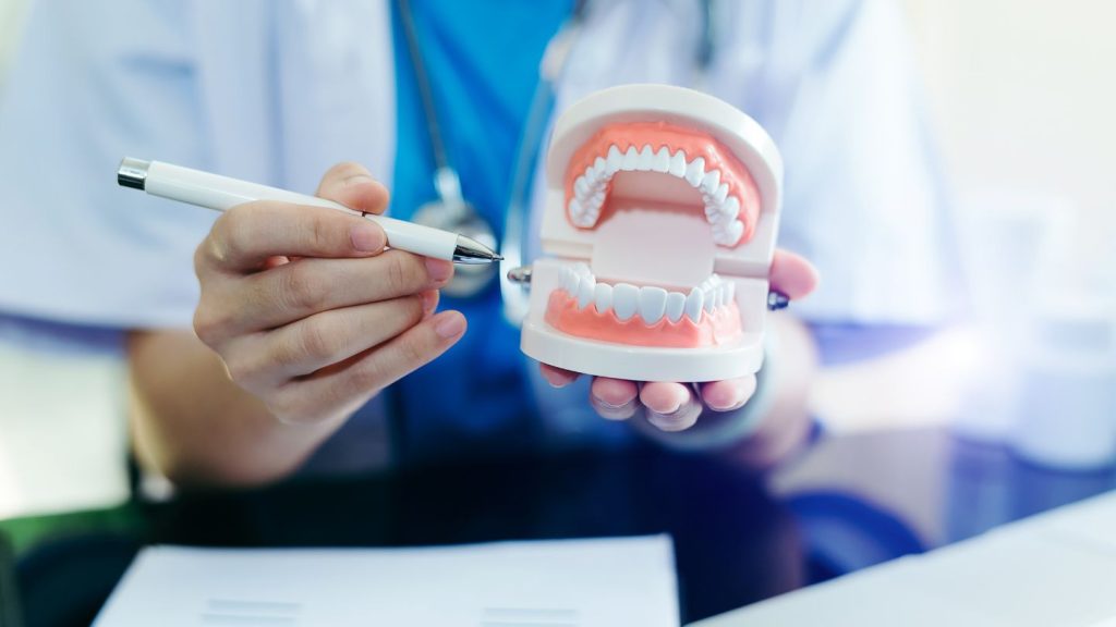 A person displays a tooth model, emphasizing the importance of dental health.