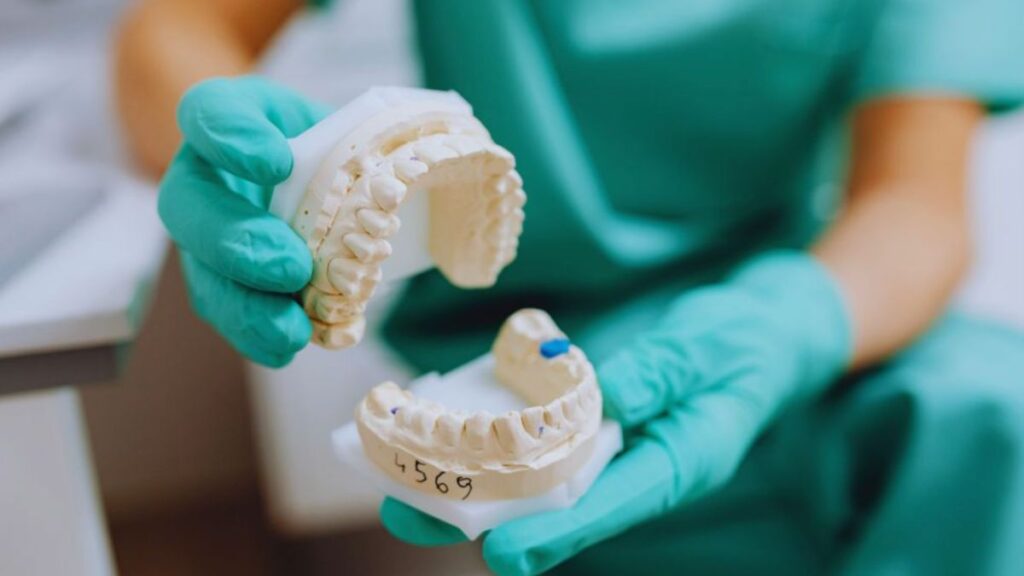A dental professional wearing green gloves holds upper and lower teeth models, demonstrating how same-day crowns in Lake Worth are designed and fitted.
